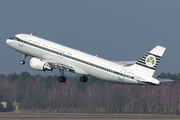 Aer Lingus Airbus A320-214 (EI-DVM) at  Berlin - Tegel, Germany