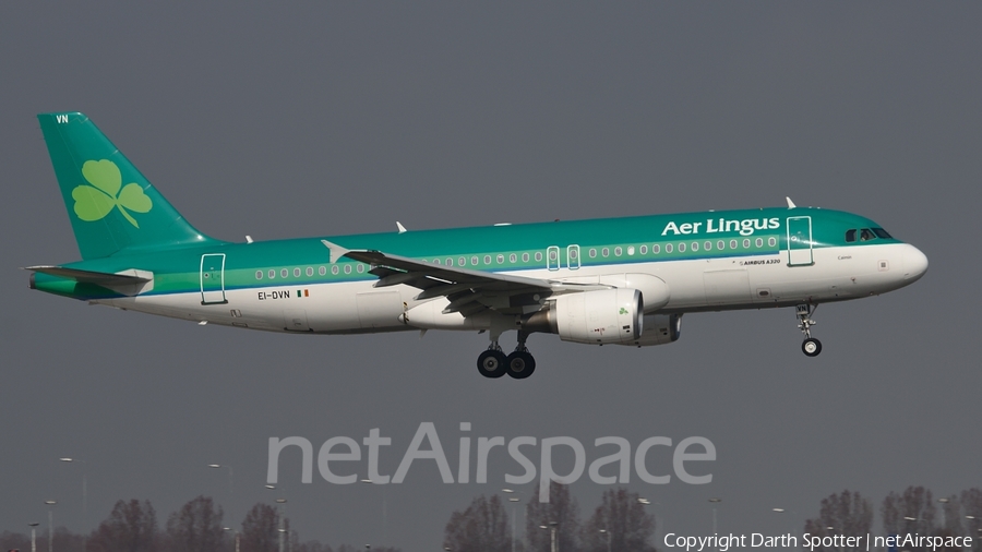 Aer Lingus Airbus A320-214 (EI-DVN) | Photo 228061