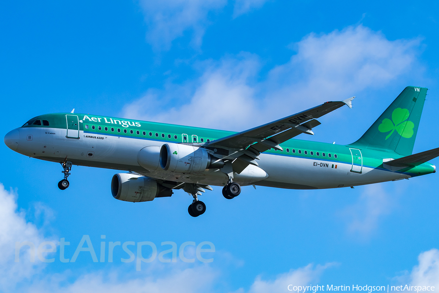 Aer Lingus Airbus A320-214 (EI-DVN) | Photo 241741
