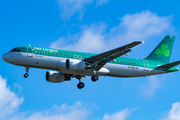 Aer Lingus Airbus A320-214 (EI-DVN) at  London - Heathrow, United Kingdom