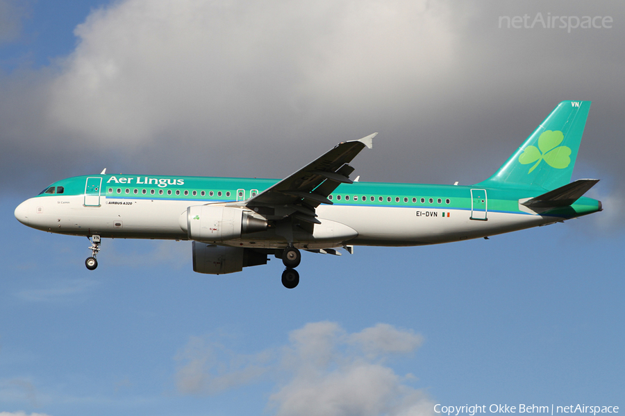 Aer Lingus Airbus A320-214 (EI-DVN) | Photo 41497