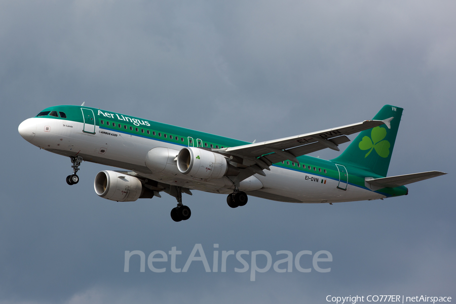 Aer Lingus Airbus A320-214 (EI-DVN) | Photo 52679