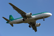 Aer Lingus Airbus A320-214 (EI-DVN) at  London - Heathrow, United Kingdom