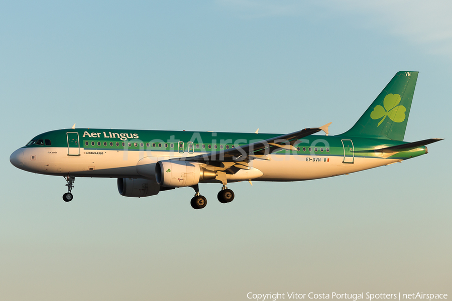 Aer Lingus Airbus A320-214 (EI-DVN) | Photo 96964