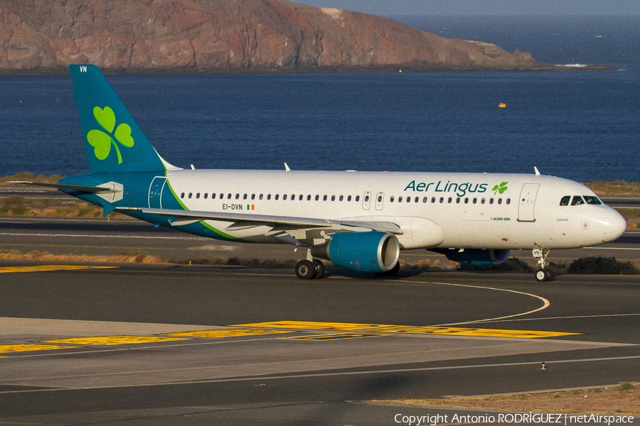 Aer Lingus Airbus A320-214 (EI-DVN) | Photo 304935