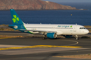 Aer Lingus Airbus A320-214 (EI-DVN) at  Gran Canaria, Spain