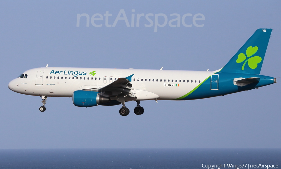 Aer Lingus Airbus A320-214 (EI-DVN) | Photo 306521