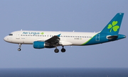 Aer Lingus Airbus A320-214 (EI-DVN) at  Gran Canaria, Spain