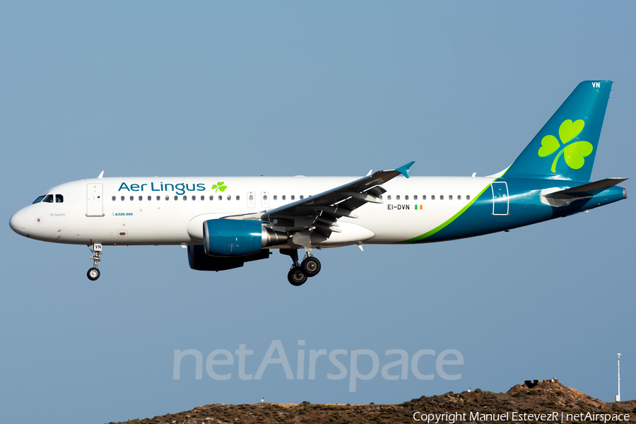Aer Lingus Airbus A320-214 (EI-DVN) | Photo 307224