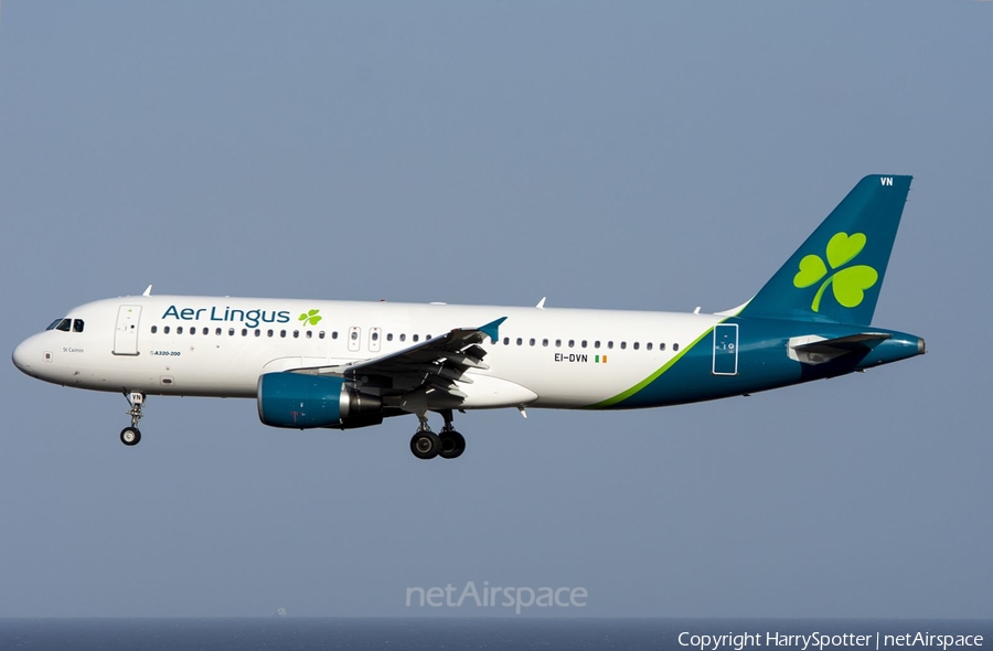 Aer Lingus Airbus A320-214 (EI-DVN) | Photo 332145