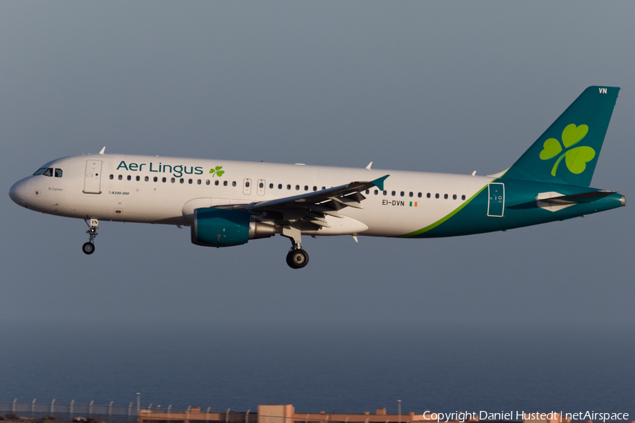 Aer Lingus Airbus A320-214 (EI-DVN) | Photo 413389