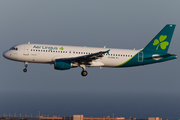 Aer Lingus Airbus A320-214 (EI-DVN) at  Gran Canaria, Spain