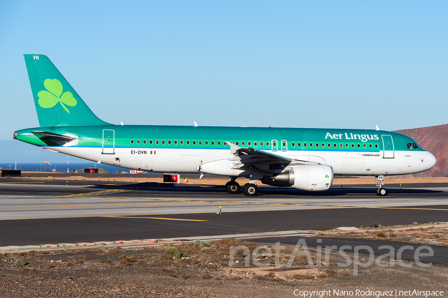 Aer Lingus Airbus A320-214 (EI-DVN) | Photo 134327