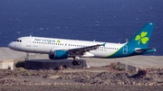 Aer Lingus Airbus A320-214 (EI-DVN) at  Tenerife Sur - Reina Sofia, Spain