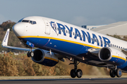 Ryanair Boeing 737-8AS (EI-DWB) at  Manchester - International (Ringway), United Kingdom