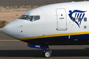 Ryanair Boeing 737-8AS (EI-DWE) at  Tenerife Sur - Reina Sofia, Spain