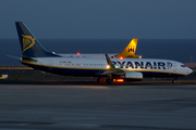 Ryanair Boeing 737-8AS (EI-DWG) at  Tenerife Sur - Reina Sofia, Spain