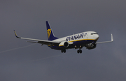 Ryanair Boeing 737-8AS (EI-DWI) at  Lisbon - Portela, Portugal