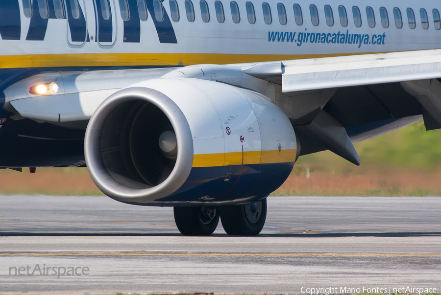 Ryanair Boeing 737-8AS (EI-DWL) | Photo 59198