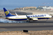 Ryanair Boeing 737-8AS (EI-DWM) at  Tenerife Sur - Reina Sofia, Spain
