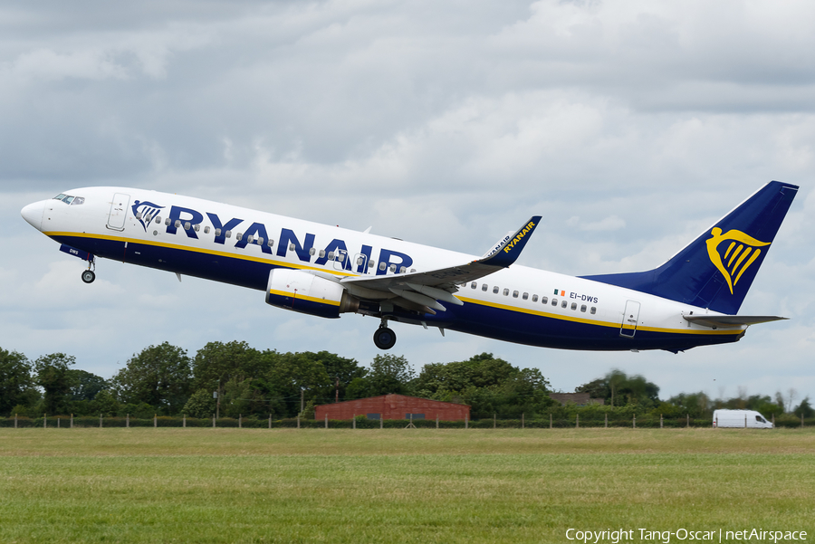 Ryanair Boeing 737-8AS (EI-DWS) | Photo 659451