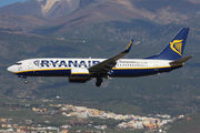 Ryanair Boeing 737-8AS (EI-DWS) at  Tenerife Sur - Reina Sofia, Spain
