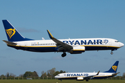 Ryanair Boeing 737-8AS (EI-DWX) at  Dublin, Ireland