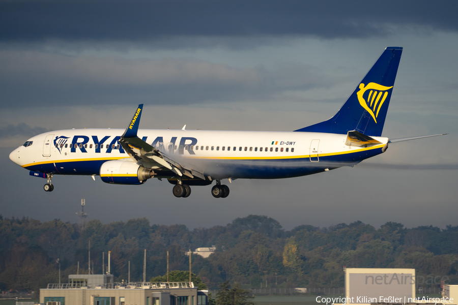 Ryanair Boeing 737-8AS (EI-DWY) | Photo 475794