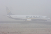 Ryanair Boeing 737-8AS (EI-DYL) at  Belfast - George Best City, United Kingdom