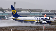 Ryanair Boeing 737-8AS (EI-EBR) at  Tenerife Sur - Reina Sofia, Spain