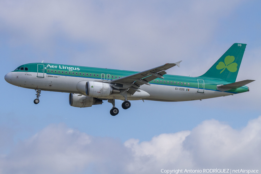 Aer Lingus Airbus A320-214 (EI-EDS) | Photo 378566