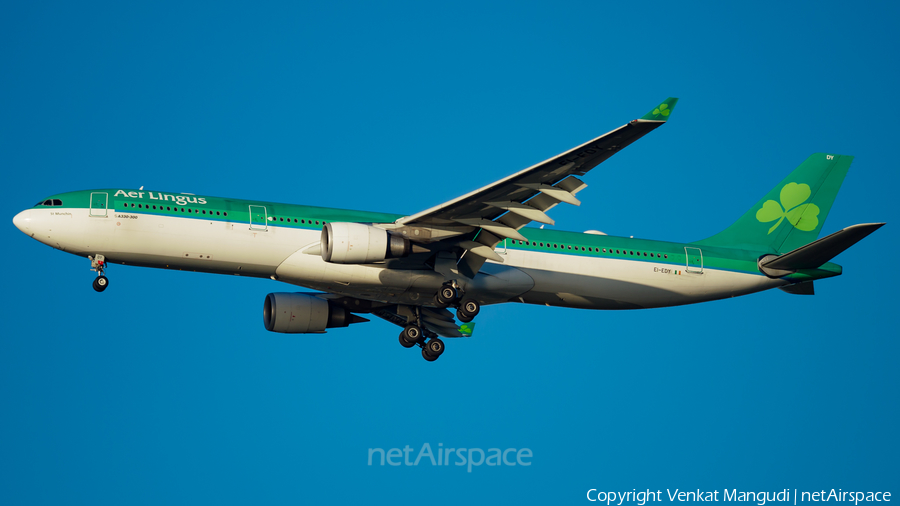 Aer Lingus Airbus A330-302E (EI-EDY) | Photo 193575