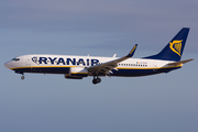 Ryanair Boeing 737-8AS (EI-EFB) at  Tenerife Sur - Reina Sofia, Spain