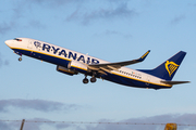 Ryanair Boeing 737-8AS (EI-EFF) at  Nottingham - East Midlands, United Kingdom