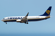 Ryanair Boeing 737-8AS (EI-EFK) at  Tenerife Sur - Reina Sofia, Spain