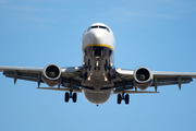 Ryanair Boeing 737-8AS (EI-EFN) at  Tenerife Sur - Reina Sofia, Spain