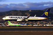 Ryanair Boeing 737-8AS (EI-EFO) at  Tenerife Norte - Los Rodeos, Spain