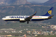 Ryanair Boeing 737-8AS (EI-EFP) at  Tenerife Sur - Reina Sofia, Spain