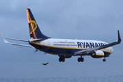 Ryanair Boeing 737-8AS (EI-EKS) at  Manchester - International (Ringway), United Kingdom