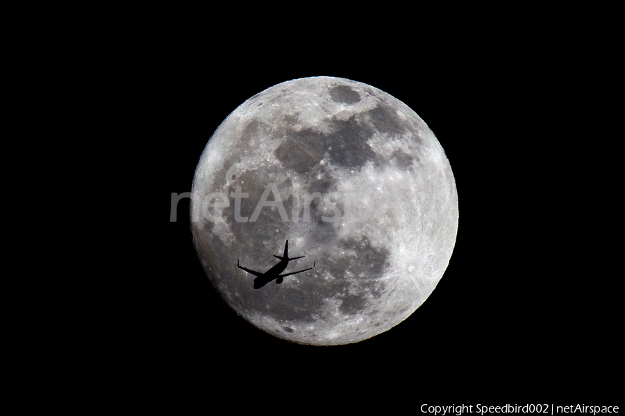 Ryanair Boeing 737-8AS (EI-EKZ) | Photo 24470