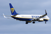 Ryanair Boeing 737-8AS (EI-EMB) at  Frankfurt am Main, Germany