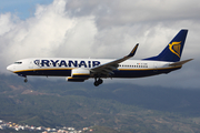 Ryanair Boeing 737-8AS (EI-EMR) at  Tenerife Sur - Reina Sofia, Spain
