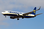 Ryanair Boeing 737-8AS (EI-ENF) at  Tenerife Sur - Reina Sofia, Spain