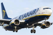 Ryanair Boeing 737-8AS (EI-ENK) at  Sevilla - San Pablo, Spain