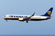 Ryanair Boeing 737-8AS (EI-ENX) at  Tenerife Sur - Reina Sofia, Spain