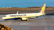 Ryanair Boeing 737-8AS (EI-EPB) at  Tenerife Sur - Reina Sofia, Spain