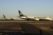 Ryanair Boeing 737-8AS (EI-EPD) at  Tenerife Sur - Reina Sofia, Spain
