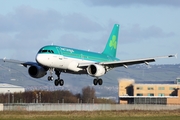 Aer Lingus Airbus A319-111 (EI-EPR) at  Belfast - George Best City, United Kingdom