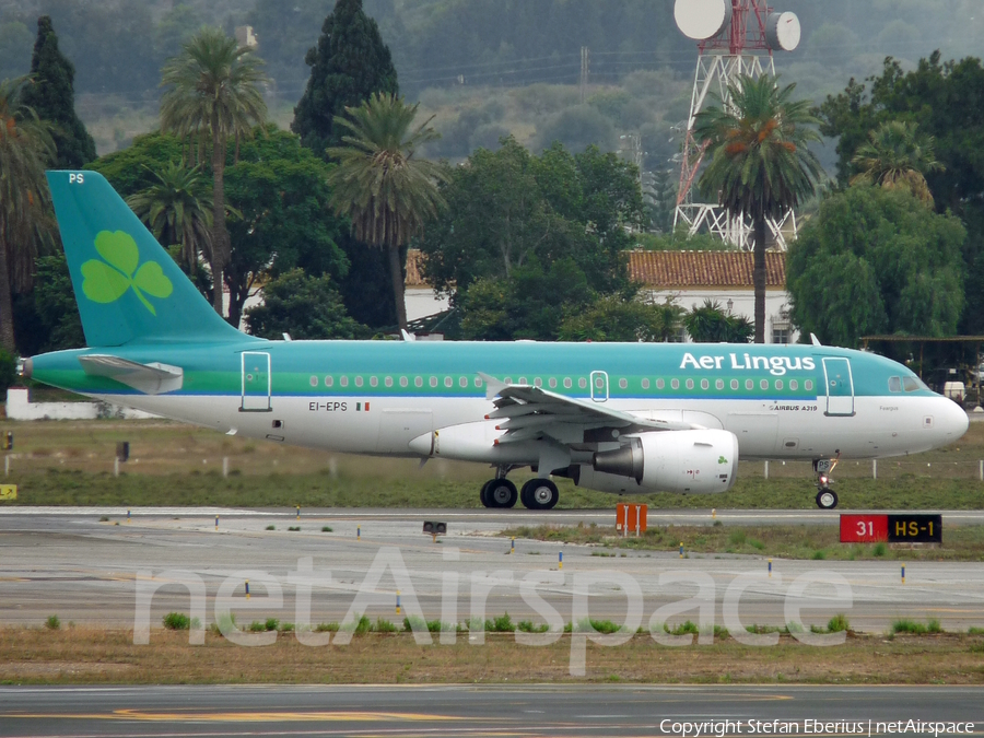 Aer Lingus Airbus A319-111 (EI-EPS) | Photo 662541