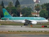 Aer Lingus Airbus A319-111 (EI-EPS) at  Malaga, Spain